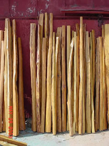 Nice group of processed osage staves